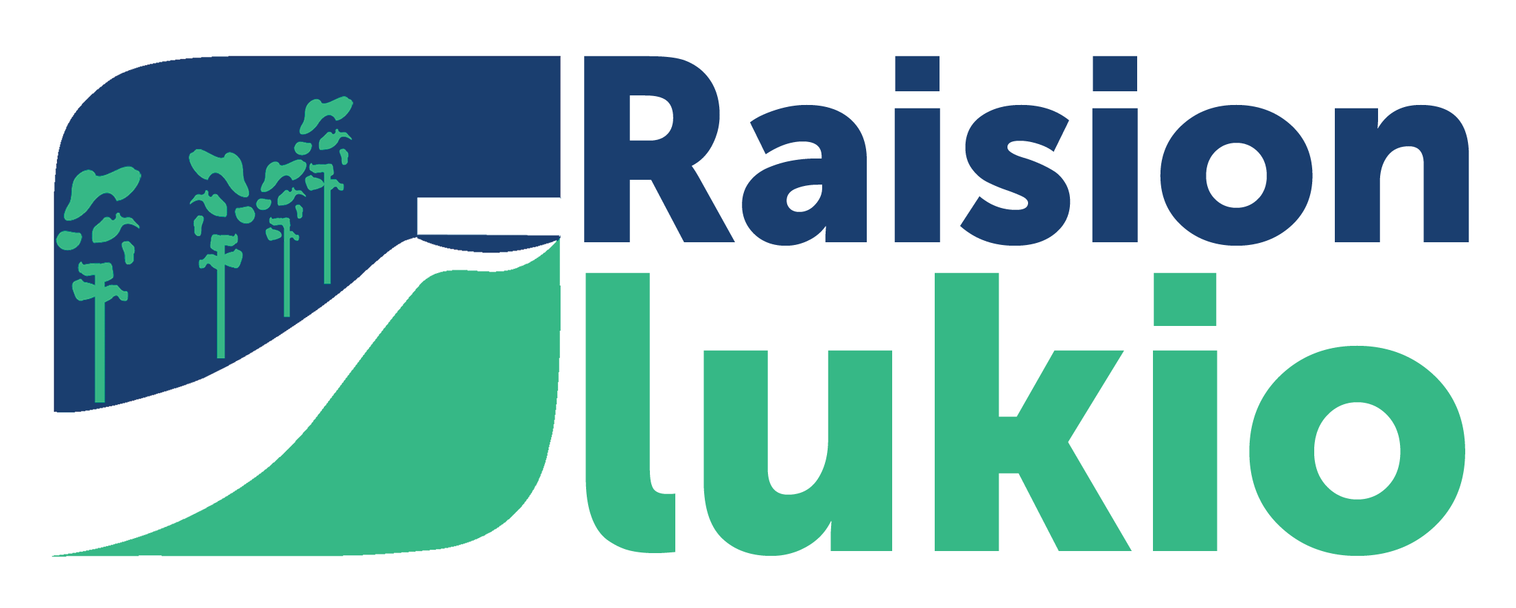 Raision lukio