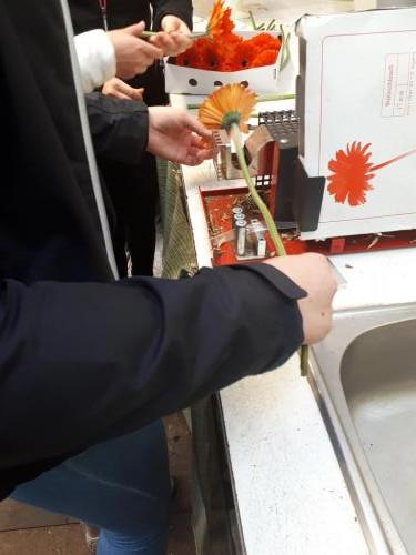 Kopio-tiedostosta-20170907 090452