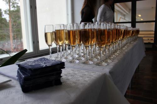 LakkiaisetRaLu60Itsenäisyyspäivä-17-Medium